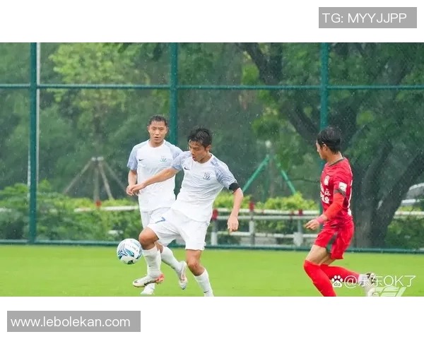 乐东足球球星的崛起与发展探索以及他们对中国足球的贡献 乐东足球球星的崛起与发展探索以及他们对中国足球的贡献